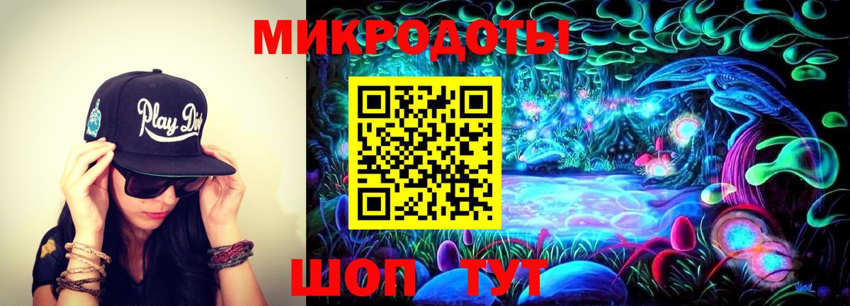 Галлюциногенные грибы Psilocybine cubensis Котлас
